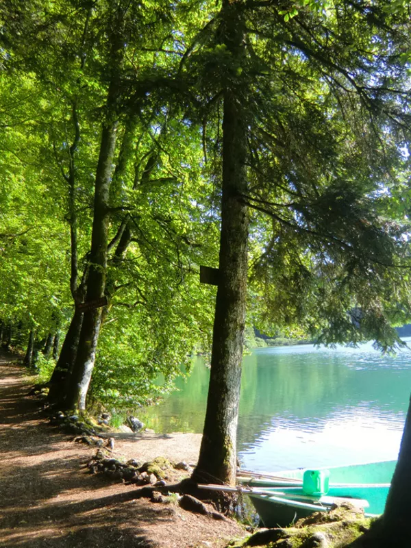 Tour du lac de Bonlieu