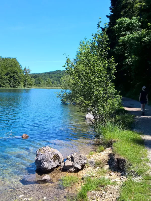 Tour des 4 lacs